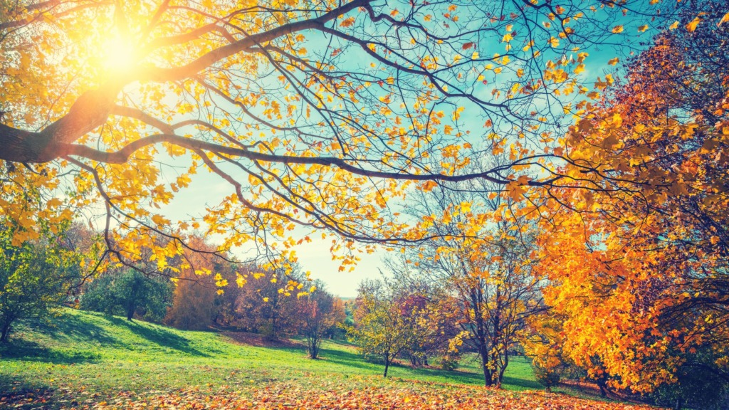 Meteorologi opozarjajo! Uživajte še ta vikend, ker bo kmalu sprememba, to prihaja že čez nekaj dni
