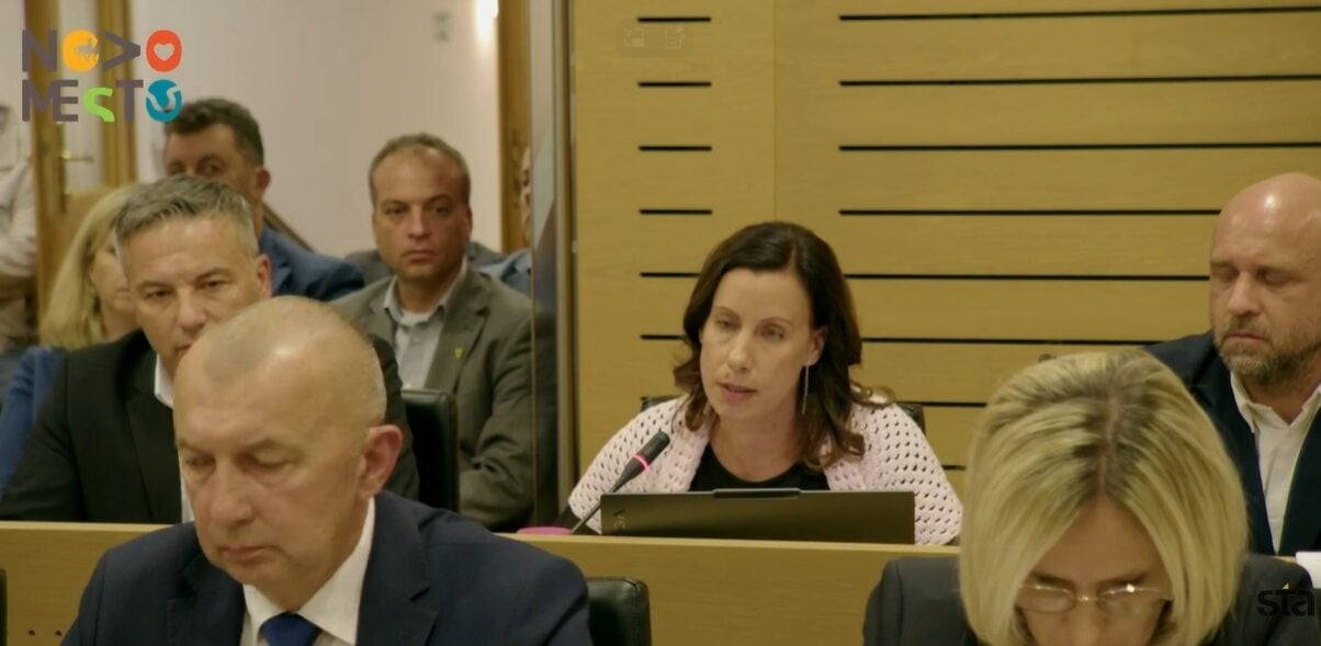 kos svetnica - NaDlani.si