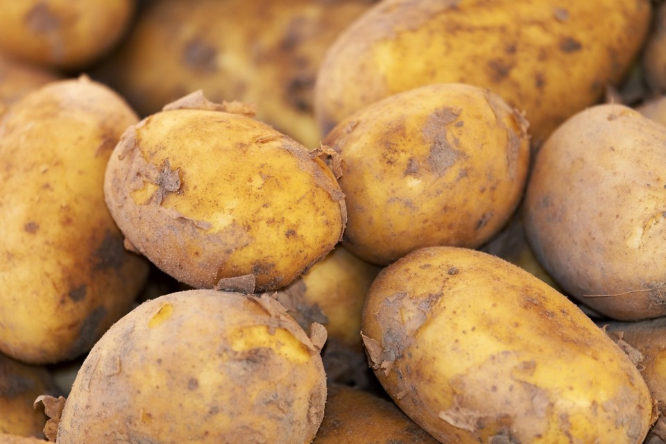 potato-3440360_1280 - NaDlani.si
