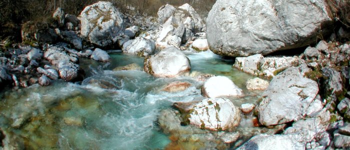 Triglavski narodni park: potrebna rezervacija?
