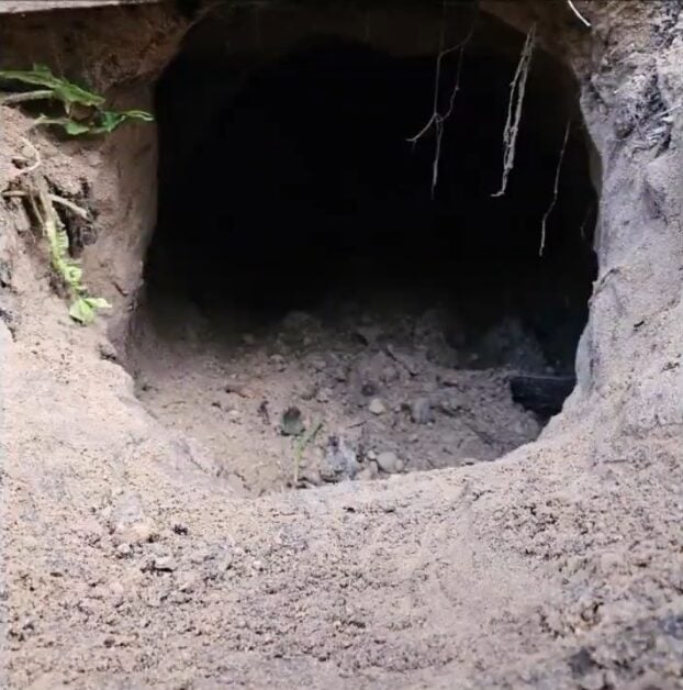 YouTubeScreenshot_51 - NaDlani.si Predor pod poljsko-belorusko mejo. Evropa se idziva.