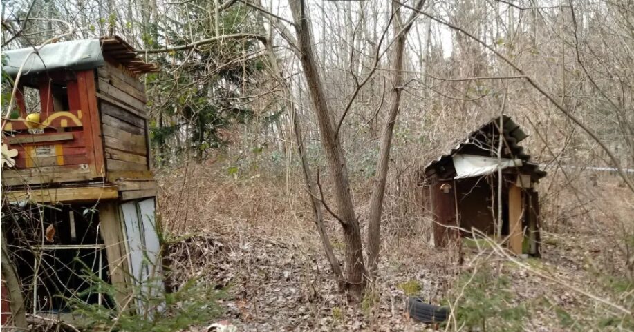 Dnevnik-nasilna smrt - NaDlani.si Stanislav Knafelj - nasilna smrt brez zaključka