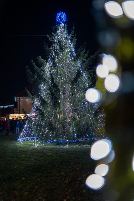 Najlepši prižig lučk daleč naokrog? Poglejte, kaj pripravljajo v Dolenji vasi pri Ribnici