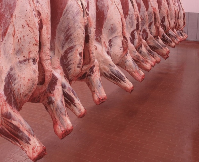 Policija sklepa, da je ukradeno meso imelo vnaprej določen cilj; vir: www