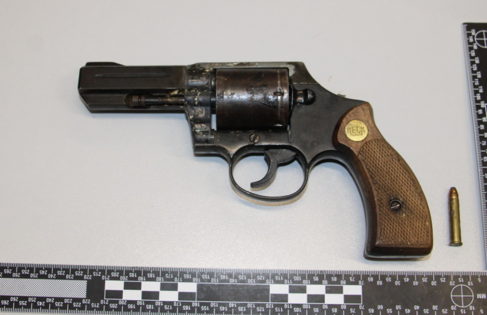 Groza, kaj so našli trebanjski policisti med hišno preiskavo 28-letnika iz Mirne Peči