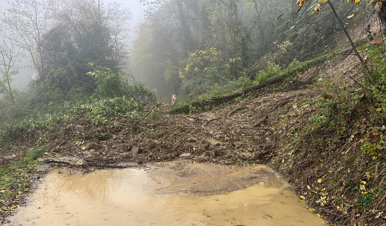 Vir: Zajem slike/Facebook