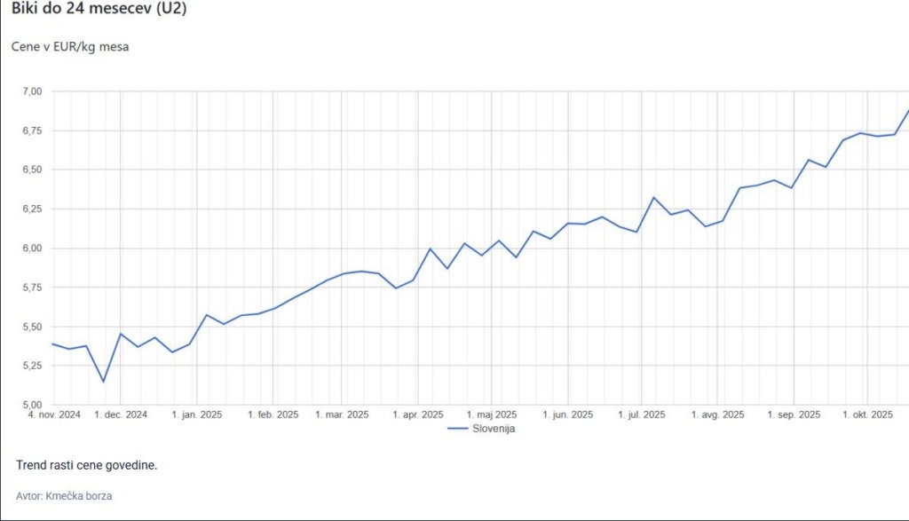 Govedina je draga: Rekordne cene za Slovence