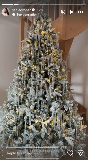 Sanjino božično drevo v ledenem videzu; vir: Instagram