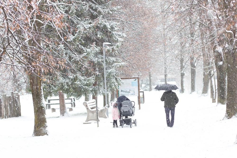 Prihaja sneg do nižin. FOTO: Shutterstock