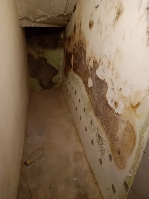 Temne lise pri tleh? Če mislite, da je to le plesen, se motite