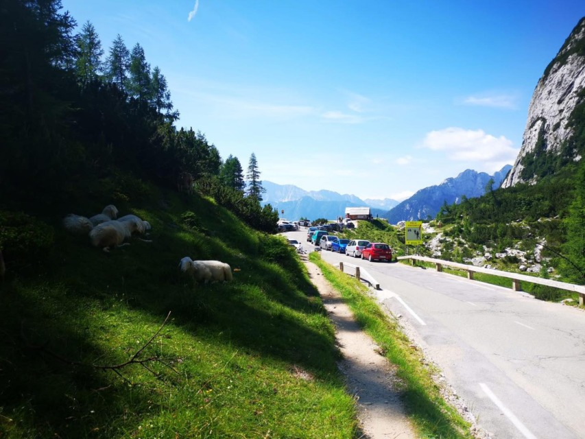 Kaos na prelazu Vršič: »Zmanjšali so parkirišča, zdaj pa se čudijo zmedi«