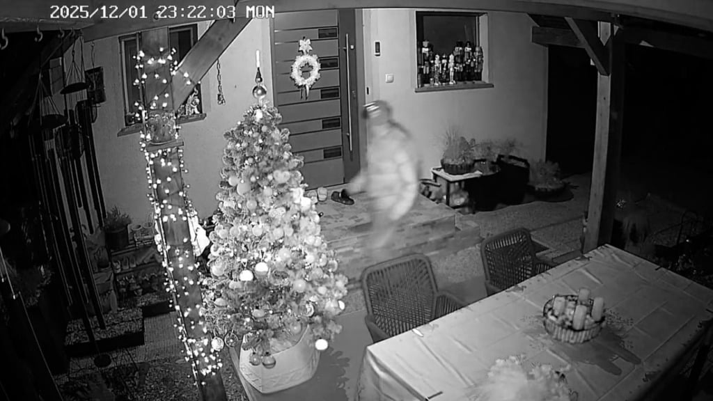 Kamera je ujela tatu. FOTO: Facebook