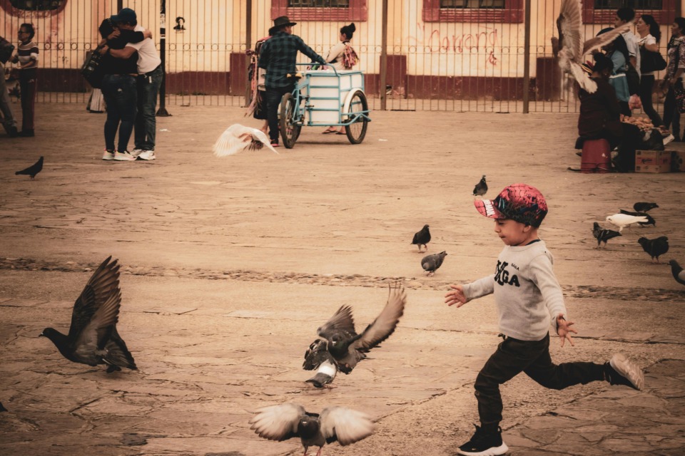 sladkor-energija - NaDlani.si Sladkor, vir energije