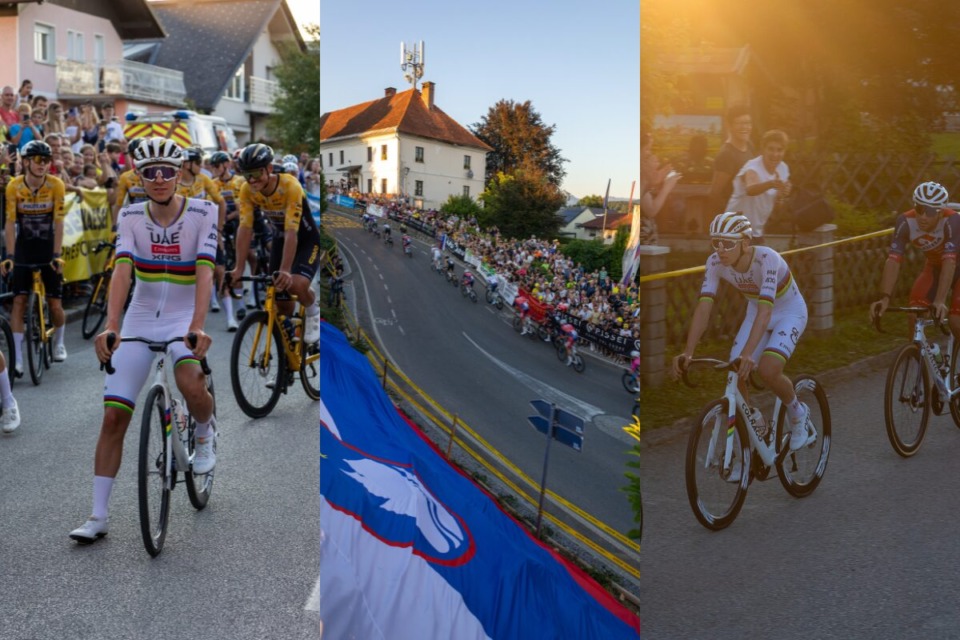 Slovenski navijači Tadeja Pogačarja