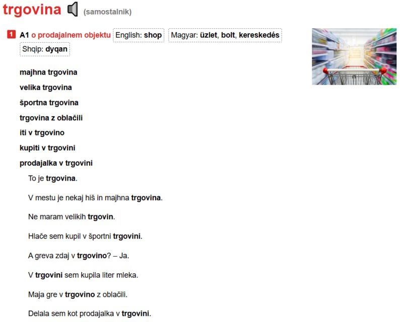 Učenje tujega jezika in razumevanje pomena besed