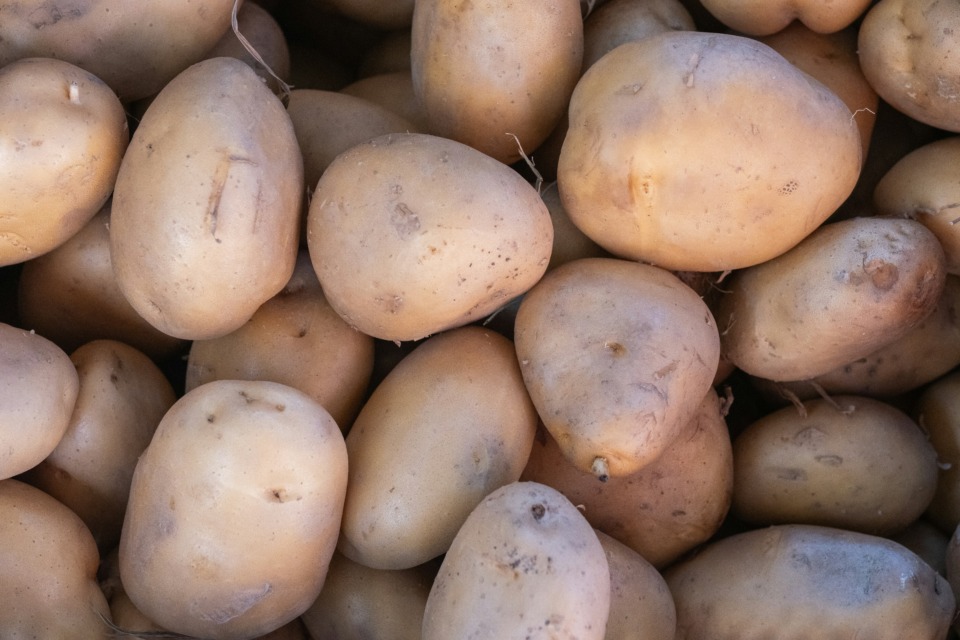 Krompir, ki je mehak, zelen, plesniv ali smrdi, mu ni mesta na vašem krožniku. Raje bodite previdni in kupite svežo zalogo, kot pa da tvegate zdravje zaradi nekaj gomoljev, ki so že zdavnaj presegli svoj vrhunec