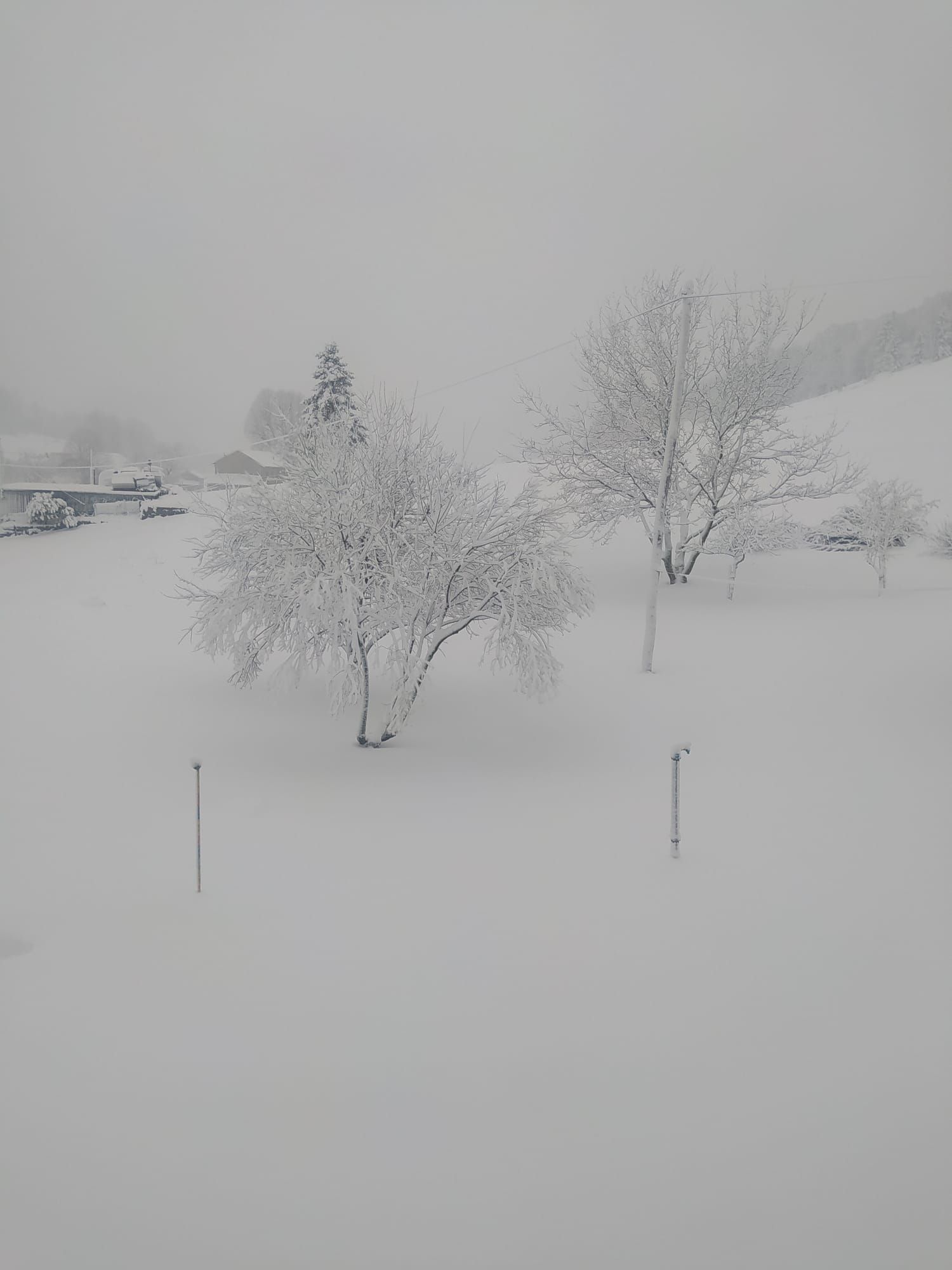 Do jutra na Notranjskem zapadlo okoli 10 cm snega (FOTO) – poglejte prizore