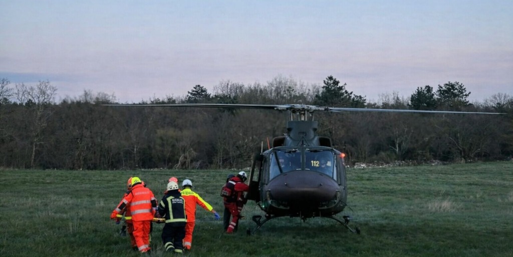 Domačina je med delom ugriznil modras, na pomoč so morali tudi gasilci in helikopter