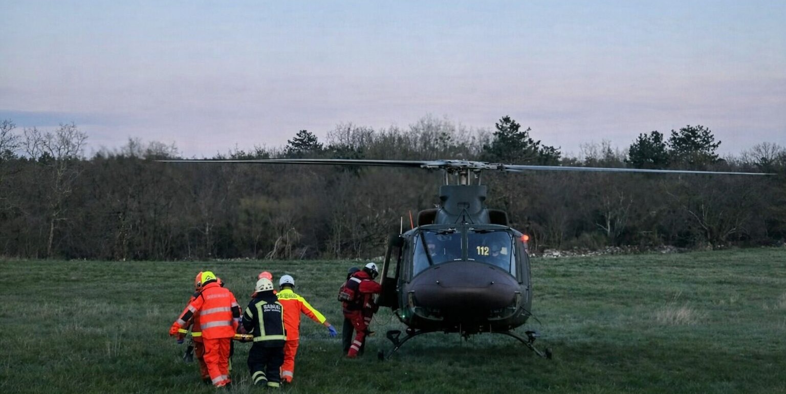 Domačina je med delom ugriznil modras, na pomoč so morali tudi gasilci in helikopter