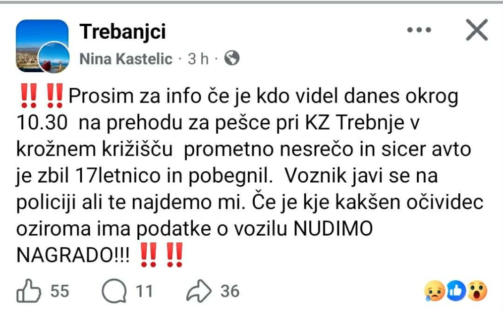 V Trebnjem voznik zbil 17-letnico in pobegnil – iščejo očividce, ponujajo nagrado za informacije
