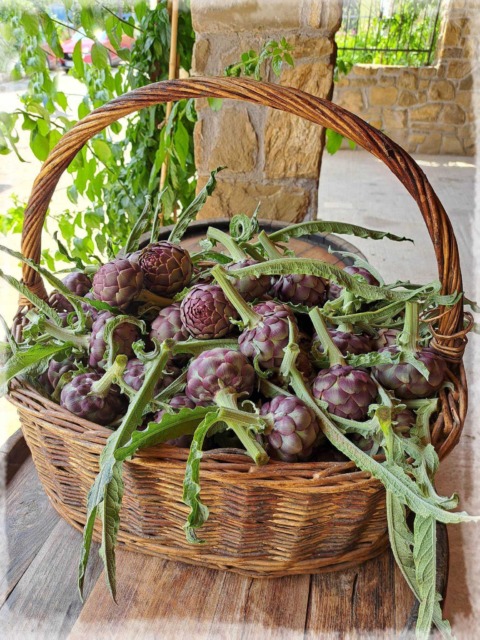 Zaklad slovenske obale, ki ga (še) ne poznate – ta sadež znižuje holesterol in pomaga pri napihnjenosti