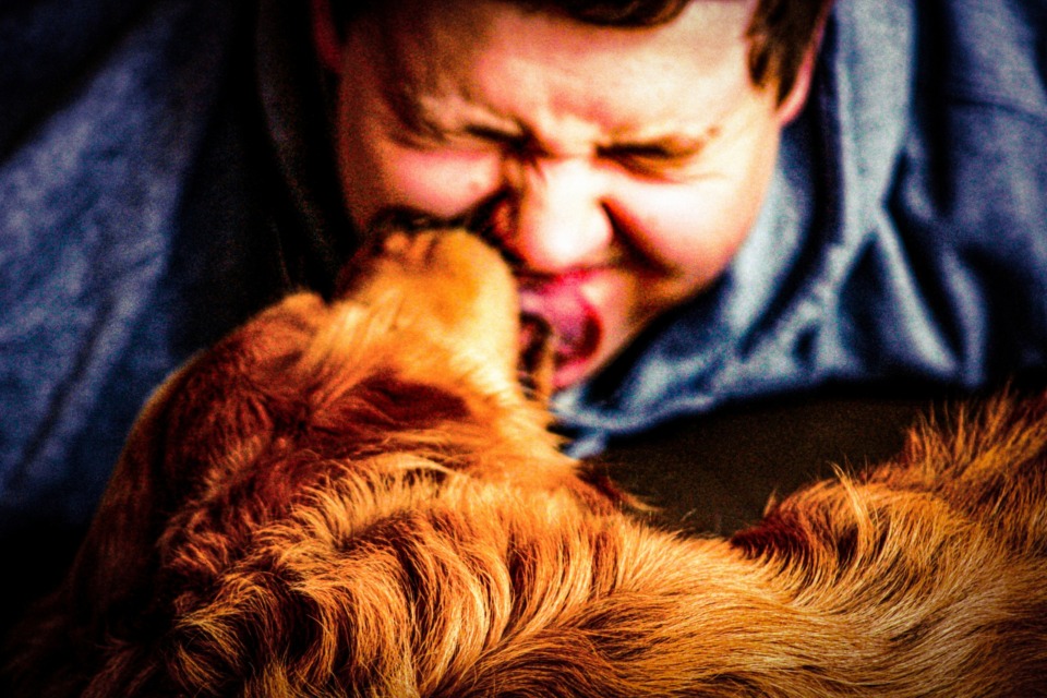slab zadah pri psih: Dejstva veterinarja o težavah z želodcem in nego zob
