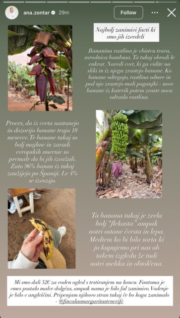 Šok za Slovence na Tenerifih: za hrano odšteli 110 € – takšne so resnične cene na otoku (foto)