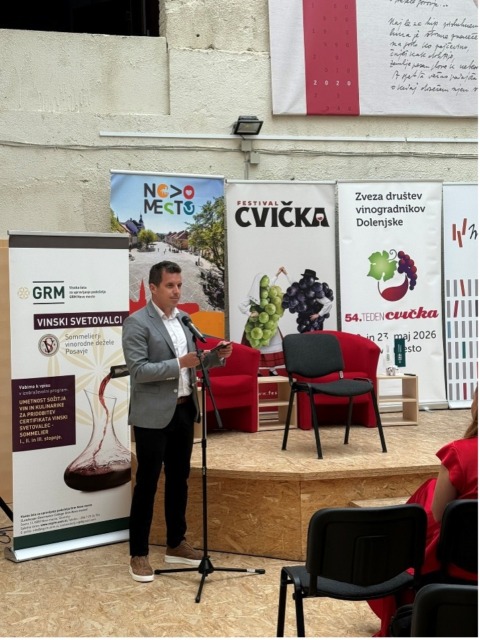 Cviček – od vinograda do kozarca
