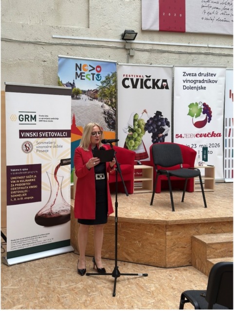 Akademija cvičkovega turizma: Cviček – od vinograda do kozarca