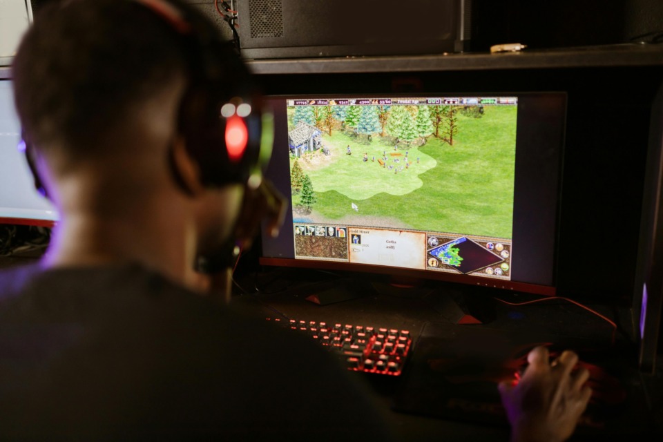 Gaming industrija, igranje videoiger