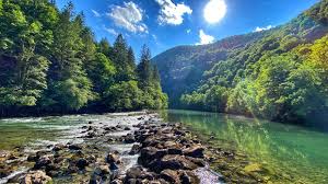 Sunlit forested riverbank with rocks in the foreground and a turquoise river between green hills and blue sky.