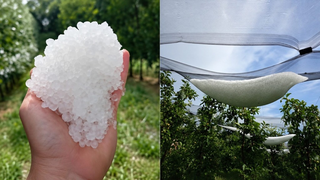 Takšni prizori prihajajo iz Vitomarcev: protitočne mreže polne toče (video)