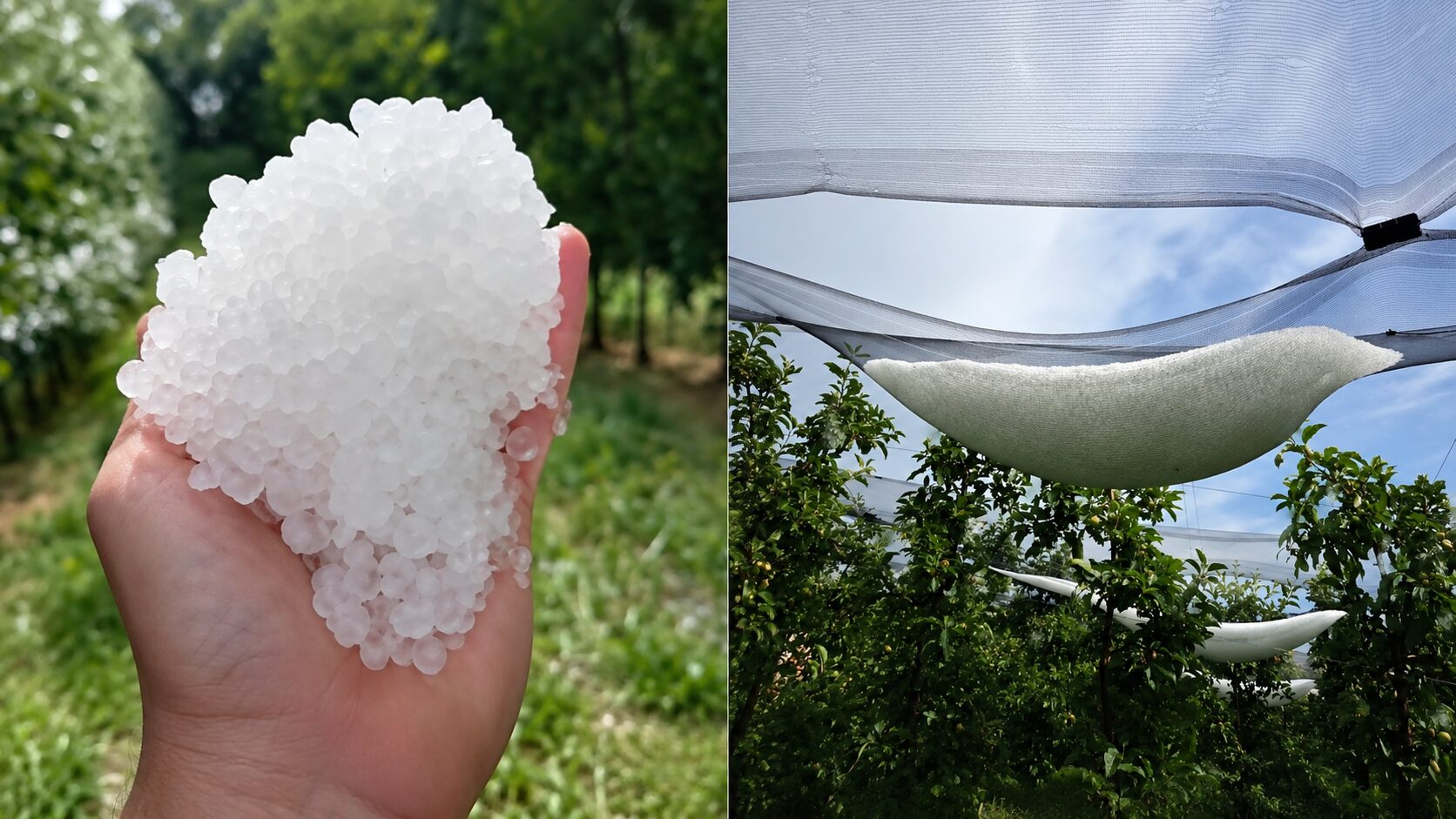 Takšni prizori prihajajo iz Vitomarcev: protitočne mreže polne toče, nevarnost še ni mimo (video)
