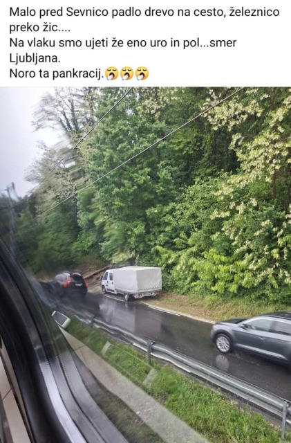 Zaradi podrtega drevesa obstal vlak, potnica opisala kaos: “Na vlaku smo bili ujeti že uro in pol”