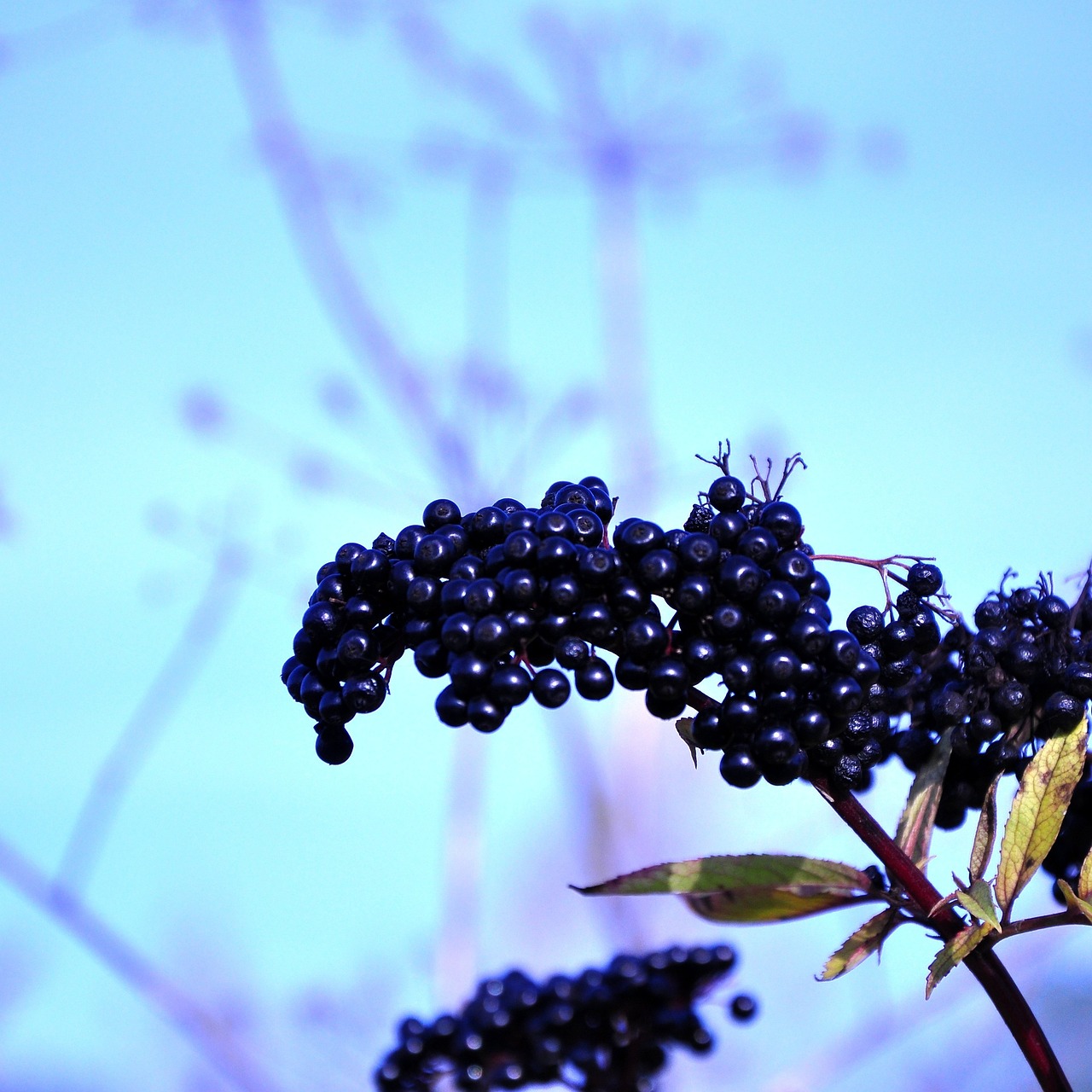 FOTO: Pixbay
