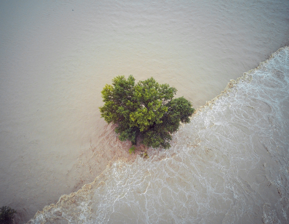 FOTO: Shutterstock