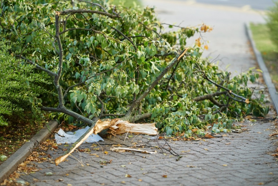 FOTO: Shutterstock