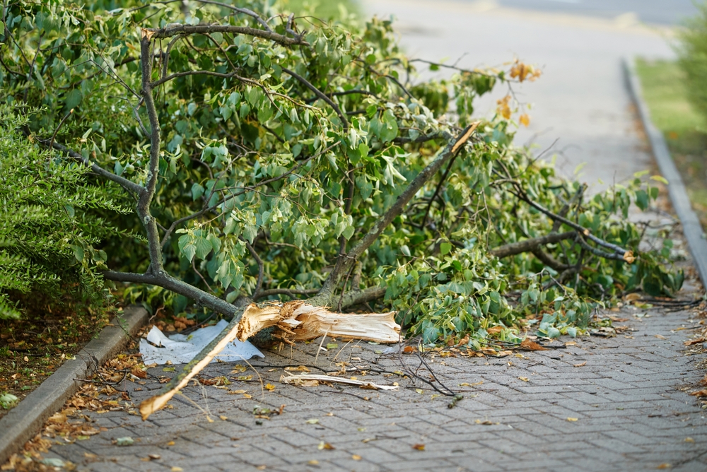 FOTO: Shutterstock