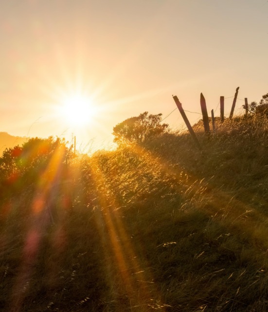 Sonce, dober vir za vitamin D