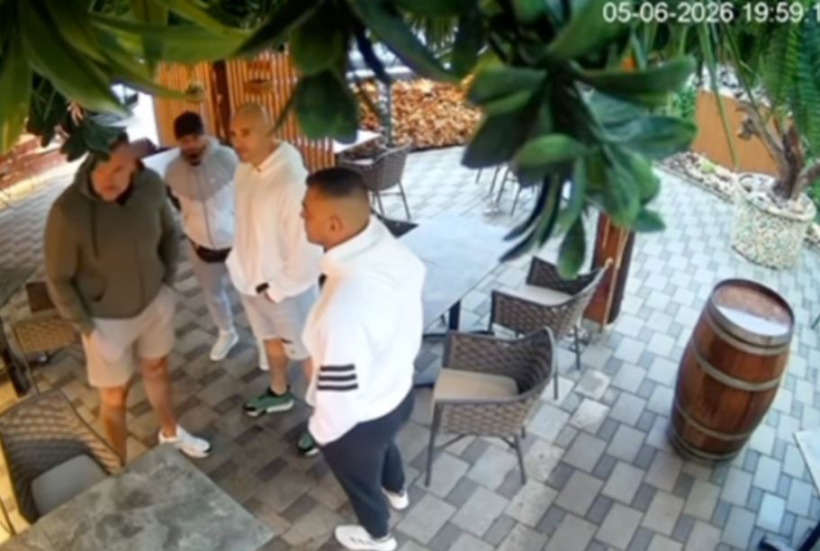 Psnetek napada v lokalu pod Šmarno Goro