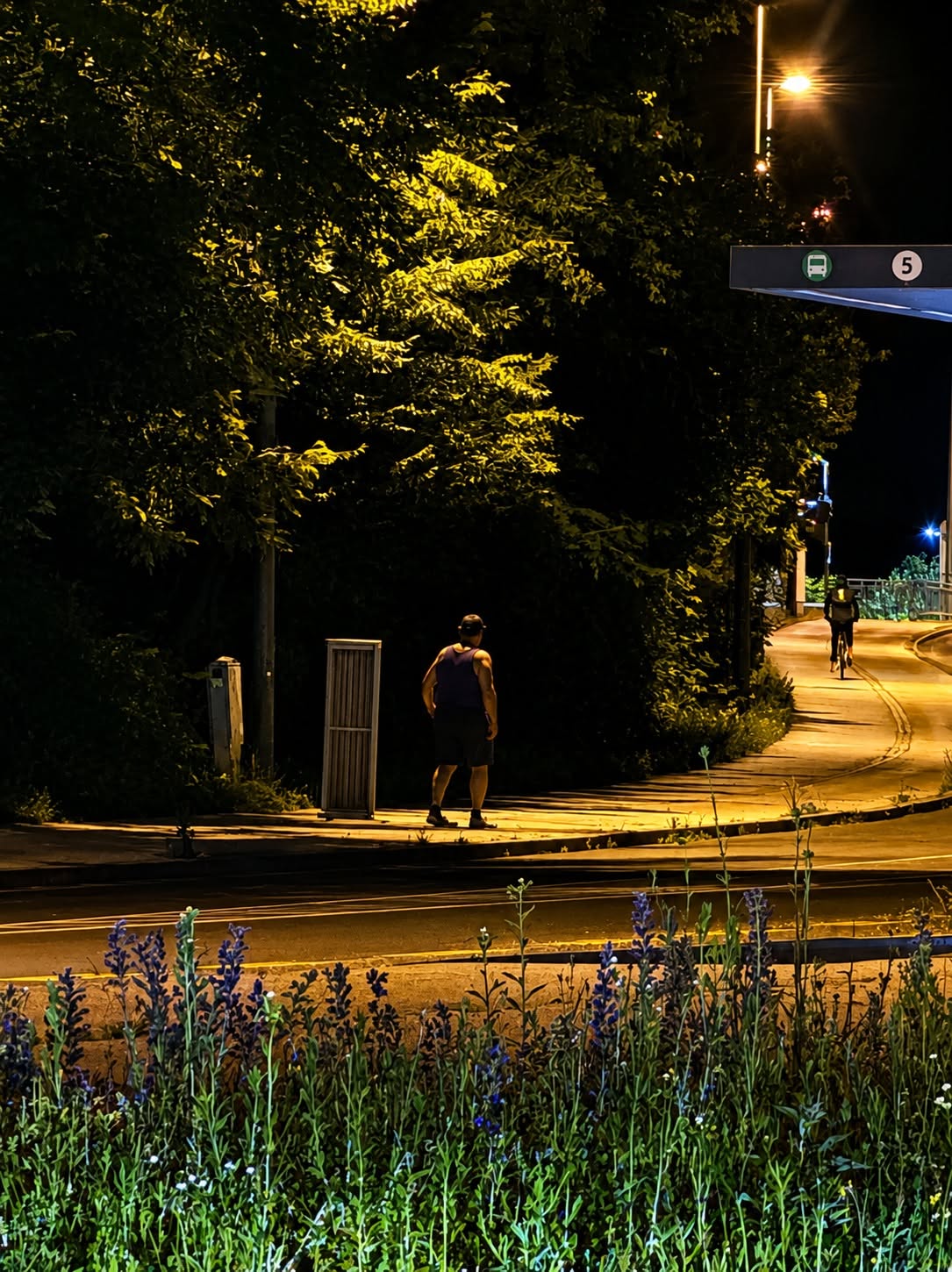 Kako se naj bi sredi noči kradlo v Podutiku, kar pred očmi javnosti? Takole. Petek, 12. junij, ponoči (video)