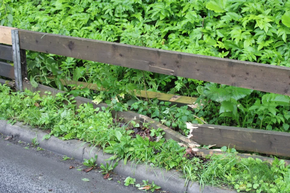 Pri Brestanici skala padla na avtomobil, posredovali gasilci