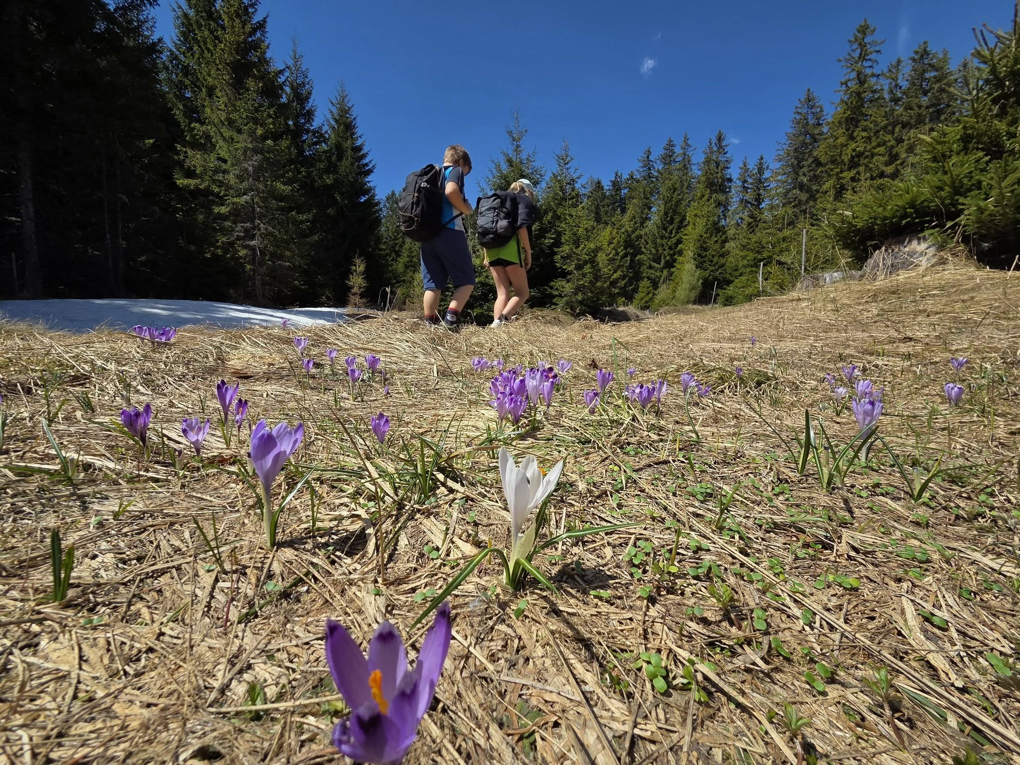 Foto: Pohodniška pot Pohorje – Kozjak Trail Vir: arhiv Pohorje Slovenija