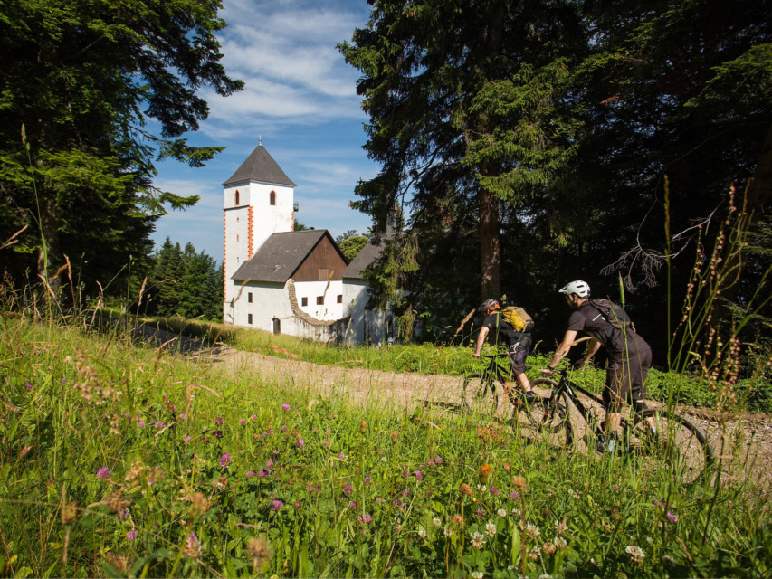 Foto: Pohodniška pot Pohorje – Kozjak Trail