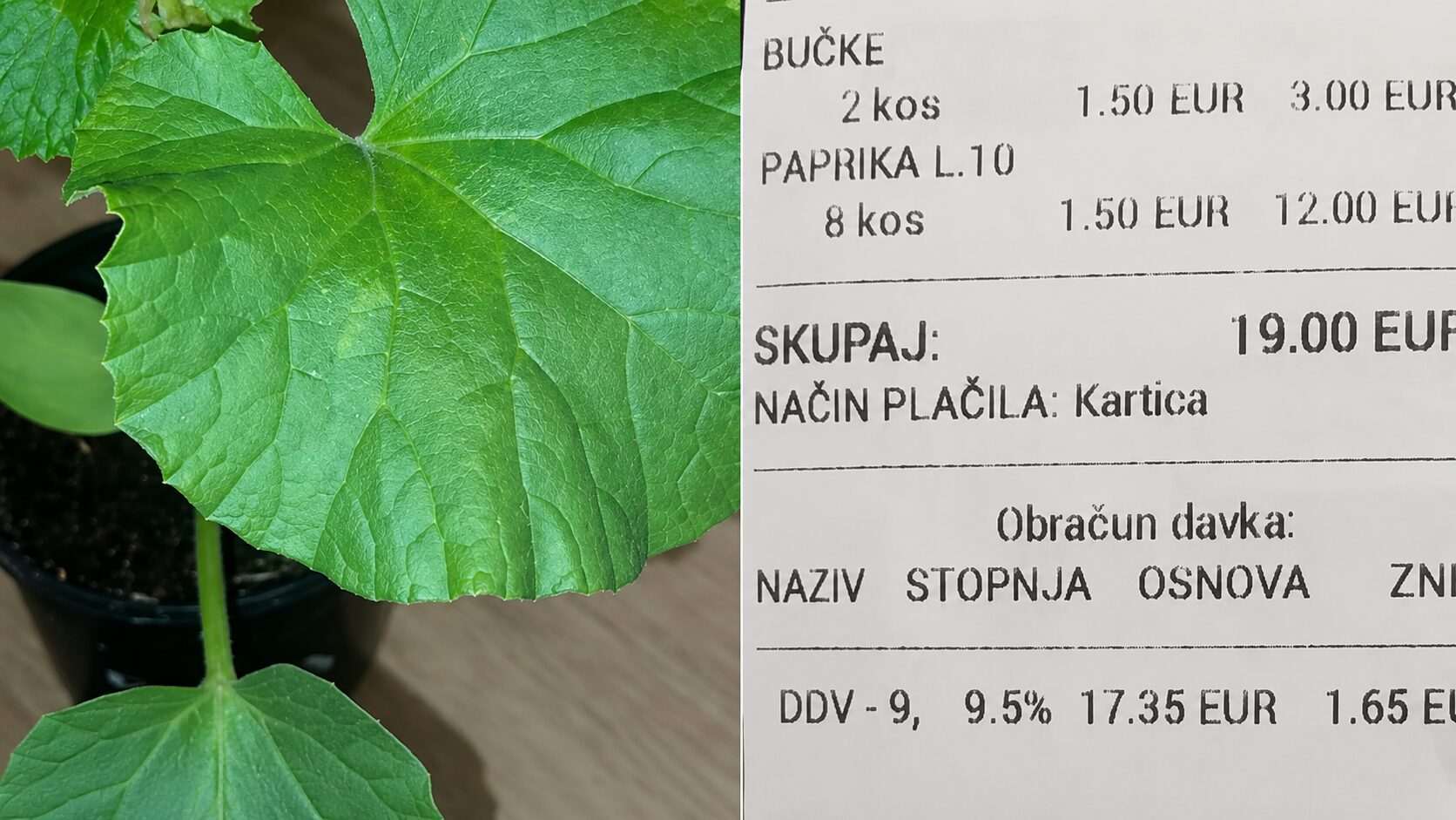 Starostnica kupila sadike, doma pa jo je čakalo presenečenje: »Najlažje je ogoljufati starega človeka?!« (slika računa)