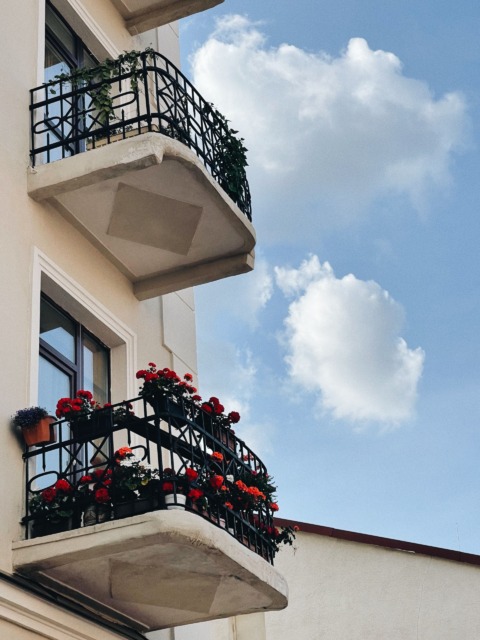 Rastline za sončen balkon