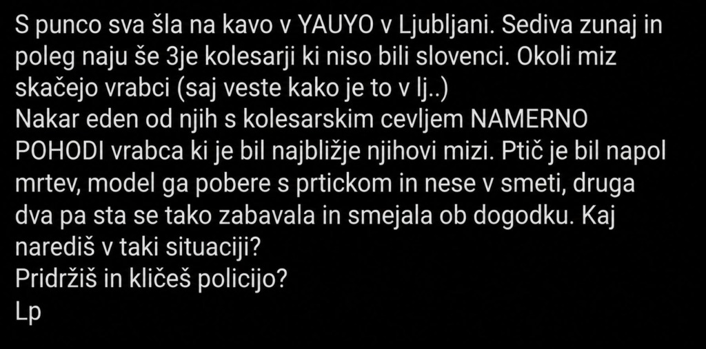 Ameriški turist naj bi v Ljubljani namenoma pohodil vrabca: »Ptič je bil napol mrtev, nato ga je odnesel v smeti« (imamo fotografijo osumljenca)