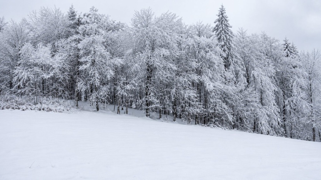 Poglejte te prizore! Na Kredarici sneži (foto)