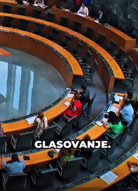Levica glasuje v parlamentu.