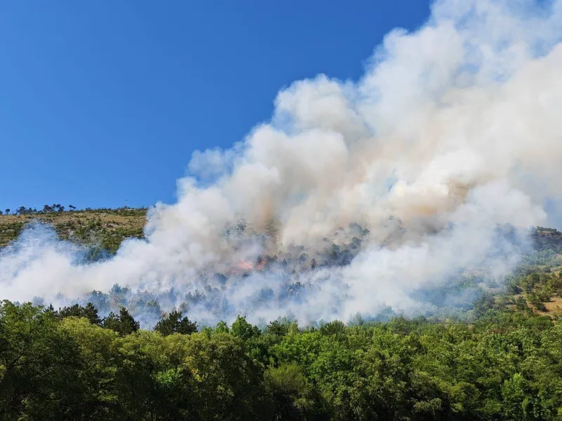 Požar na Krasu je omejen, pogorelo okoli 20 hektarjev